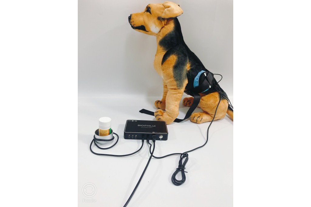 Biophilia Guardian se soucie de la santé des chats et des chiens